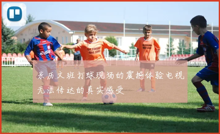 亲历文班打球现场的震撼体验电视无法传达的真实感受