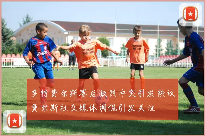 多特费尔斯赛后激烈冲突引发热议费尔斯社交媒体调侃引发关注